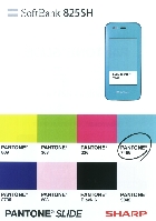 \tgoN PANTONE SLIDE 825SH SHARP