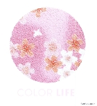 \tgoN COLOR LIFE 840P Panasonic