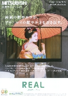 三菱 カラーテレビ 総合カタログ 2008/春夏